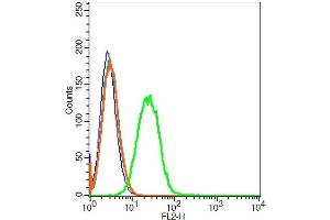 CD45 antibody  (AA 1210-1304)