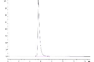 The purity of Human LIF R/CD118 is greater than 95 % as determined by SEC-HPLC. (LIFR Protein (AA 45-833) (His tag))