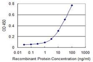 Detection limit for recombinant GST tagged AMOT is 0. (Angiomotin antibody  (AA 361-460))
