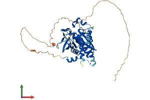 AlphaFold protein structure predicition of Human Recombinant PTPN20 Protein, UniprotID Q4JDL3