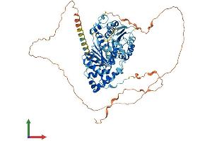 Protein Structure (PS) image for DEAD (Asp-Glu-Ala-Asp) Box Polypeptide 18 (DDX18) (AA 1-670) protein (His tag) (ABIN7547034)