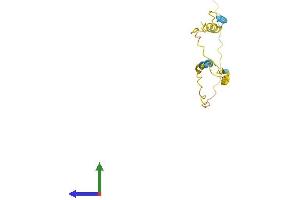 AlphaFold protein structure predicition of Human Recombinant LINC01465 Protein, UniprotID Q8N7H1
