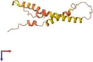 Proline Rich 9 (PRR9) (AA 1-116) protein (His tag)
