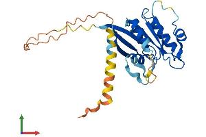 AlphaFold protein structure predicition of Mouse Recombinant Arl10 Protein, UniprotID Q9QXJ4 (ARL10 Protein (AA 1-243) (His tag))