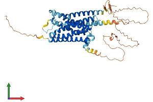 AlphaFold protein structure predicition of Mouse Recombinant Adra1a Protein, UniprotID P97718 (alpha 1 Adrenergic Receptor Protein (AA 1-466) (His tag))