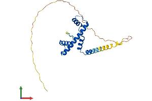 Protein Structure (PS) image for TATA Box Binding Protein Associated Factor 11 (TAF11) (AA 1-211) protein (His tag) (ABIN7544225)