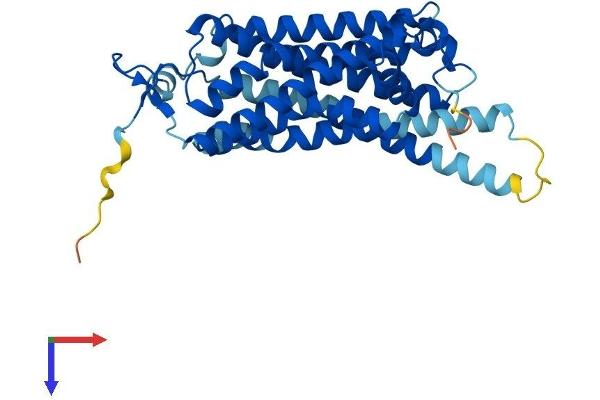 TAAR9 Protein (AA 1-348) (His tag)