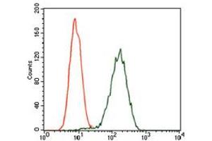 Image no. 6 for anti-Glypican 3 (GPC3) (AA 55-200) antibody (ABIN1498500) (Glypican 3 antibody  (AA 55-200))