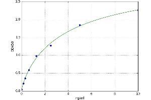 Syntaxin 1A (Brain) (STX1A) ELISA Kit