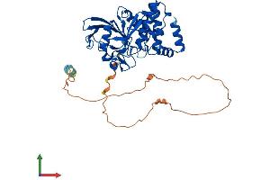 Protein Structure (PS) image for Protein tyrosine Phosphatase, Non-Receptor Type 1 (PTPN1) (AA 1-435) protein (His tag) (ABIN7551058)