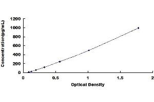 Typical standard curve (VEGFD ELISA Kit)