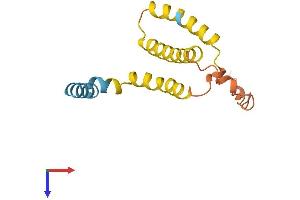 AlphaFold protein structure predicition of Human Recombinant MPC1L Protein, UniprotID P0DKB6 (MPC1L Protein (AA 1-136) (His tag))