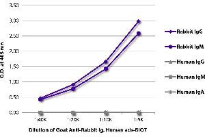 ELISA plate was coated with purified rabbit IgG and IgM and human IgG, IgM, and IgA. (Goat anti-Rabbit Ig (Heavy & Light Chain) Antibody (Biotin))
