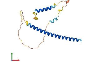 AlphaFold protein structure predicition of Human Recombinant DDIT3 Protein, UniprotID P35638 (DDIT3 Protein (AA 1-169) (His tag))