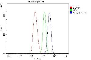 Flow Cytometry analysis of C6 cells using anti-ATG7 antibody (ABIN7603109). (ATG7 antibody  (N-Term))