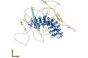 AlphaFold protein structure predicition of Mouse Recombinant Ctnnd1 Protein, UniprotID P30999 (CTNND1 Protein (AA 1-938) (His tag))