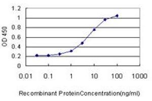 Detection limit for recombinant GST tagged RACGAP1 is approximately 0. (RACGAP1 antibody  (AA 1-110))