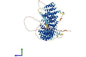 AlphaFold protein structure predicition of Mouse Recombinant Ppp4r4 Protein, UniprotID Q8C0Y0 (PPP4R4 Protein (AA 1-875) (His tag))