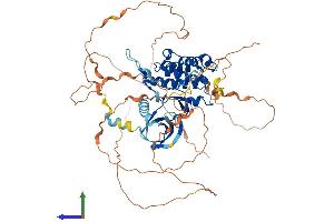 AlphaFold protein structure predicition of Human Recombinant TESK1 Protein, UniprotID Q15569