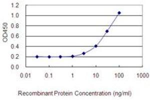 Detection limit for recombinant GST tagged NUDCD2 is 1 ng/ml as a capture antibody. (NUDCD2 antibody  (AA 1-157))