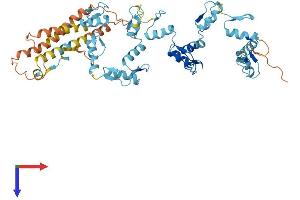 AlphaFold protein structure predicition of Human Recombinant ZNF320 Protein, UniprotID A2RRD8