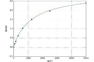 Selenium Binding Protein 1 (SELENBP1) ELISA Kit