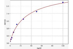 Typical standard curve (Melanocyte Antibody ELISA Kit)