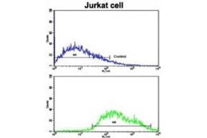 Flow Cytometry (FACS) image for anti-Component of Oligomeric Golgi Complex 4 (COG4) antibody (ABIN3003206) (COG4 antibody)
