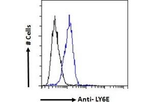 ABIN570878 Flow cytometric analysis of paraformaldehyde fixed NIH3T3 cells (blue line), permeabilized with 0. (LY6E antibody  (Internal Region))
