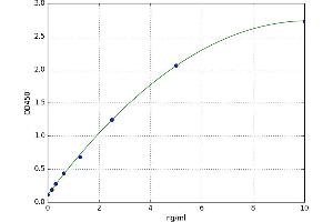Low Density Lipoprotein Receptor-Related Protein 1 (LRP1) ELISA Kit