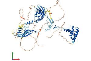 AlphaFold protein structure predicition of Human Recombinant SUZ12 Protein, UniprotID Q15022 (SUZ12 Protein (AA 1-739) (His tag))