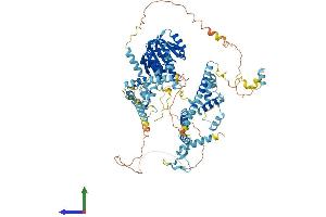 AlphaFold protein structure predicition of Human Recombinant FTSJ3 Protein, UniprotID Q8IY81