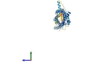 AlphaFold protein structure predicition of Mouse Recombinant Cx3cr1 Protein, UniprotID Q9Z0D9 (CX3CR1 Protein (AA 1-354) (His tag))