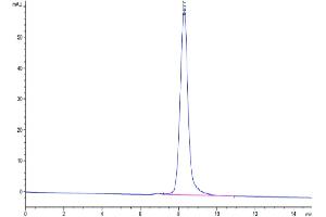 The purity of Cynomolgus LILRA4 is greater than 95 % as determined by SEC-HPLC. (LILRA4 Protein (AA 24-446) (His tag))