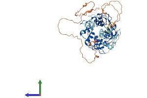 AlphaFold protein structure predicition of Human Recombinant ZNF329 Protein, UniprotID Q86UD4 (ZNF329 Protein (AA 1-541) (His tag))