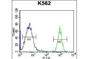 PTMS Antibody (C-term) (ABIN656745 and ABIN2845967) flow cytometric analysis of K562 cells (right histogram) compared to a negative control cell (left histogram).