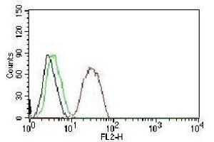 FACS testing of MCF-7 cells:  Black=cells alone (ESR2 antibody  (C-Term))