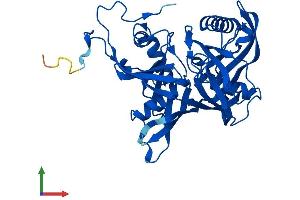 Protein Structure (PS) image for L-3-Hydroxyproline Dehydratase (Trans-) (L3HYPDH) (AA 1-354) protein (His tag) (ABIN7544089)