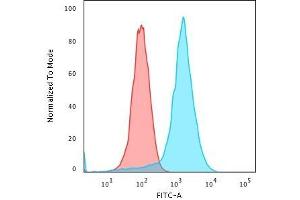 Flow Cytometric Analysis of PFA-fixed K562 cells using CD43 Mouse Recombinant Monoclonal Antibody (rSPN/839) followed by Goat anti-Mouse IgG-CF488 (Blue); Isotype Control (Red) (Recombinant CD43 antibody)