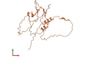 Protein Structure (PS) image for Zinc Finger Protein 365 (ZNF365) (AA 1-216) protein (His tag) (ABIN7544229)