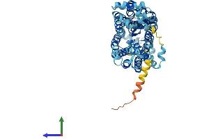 Protein Structure (PS) image for Solute Carrier Family 22 (Organic Anion/urate Transporter), Member 12 (SLC22A12) (AA 1-553) protein (His tag) (ABIN7551708)