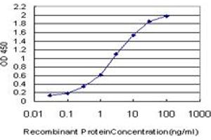 Detection limit for recombinant GST tagged SRF is approximately 0. (SRF antibody  (AA 406-508))