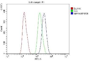 Flow Cytometry analysis of SiHa cells using anti-MAFA antibody (ABIN7602623). (MAFA antibody  (AA 9-308))