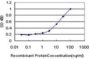 Detection limit for recombinant GST tagged WRN is approximately 0. (RECQL2 antibody  (AA 1322-1432))