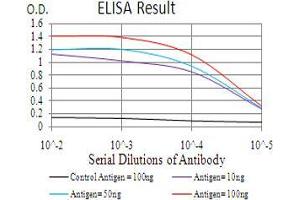 Black line: Control Antigen (100 ng), Purple line: Antigen(10 ng), Blue line: Antigen (50 ng), Red line: Antigen (100 ng), (KDM5B antibody  (AA 231-319))