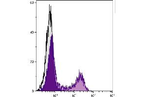 BALB/c mouse splenocytes were stained with Rat Anti-Mouse CD23-FITC. (FCER2 antibody  (FITC))