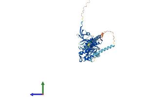 AlphaFold protein structure predicition of Mouse Recombinant Nf2 Protein, UniprotID P46662 (Merlin Protein (AA 1-596) (His tag))
