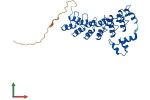 AlphaFold protein structure predicition of Mouse Recombinant Asb9 Protein, UniprotID Q91ZT8