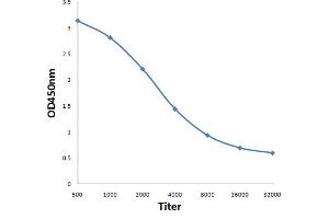 Antigen: 0. (Rubisco antibody)