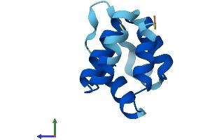 AlphaFold protein structure predicition of Human Recombinant PYDC1 Protein, UniprotID Q8WXC3 (PYDC1 Protein (AA 1-89) (His tag))